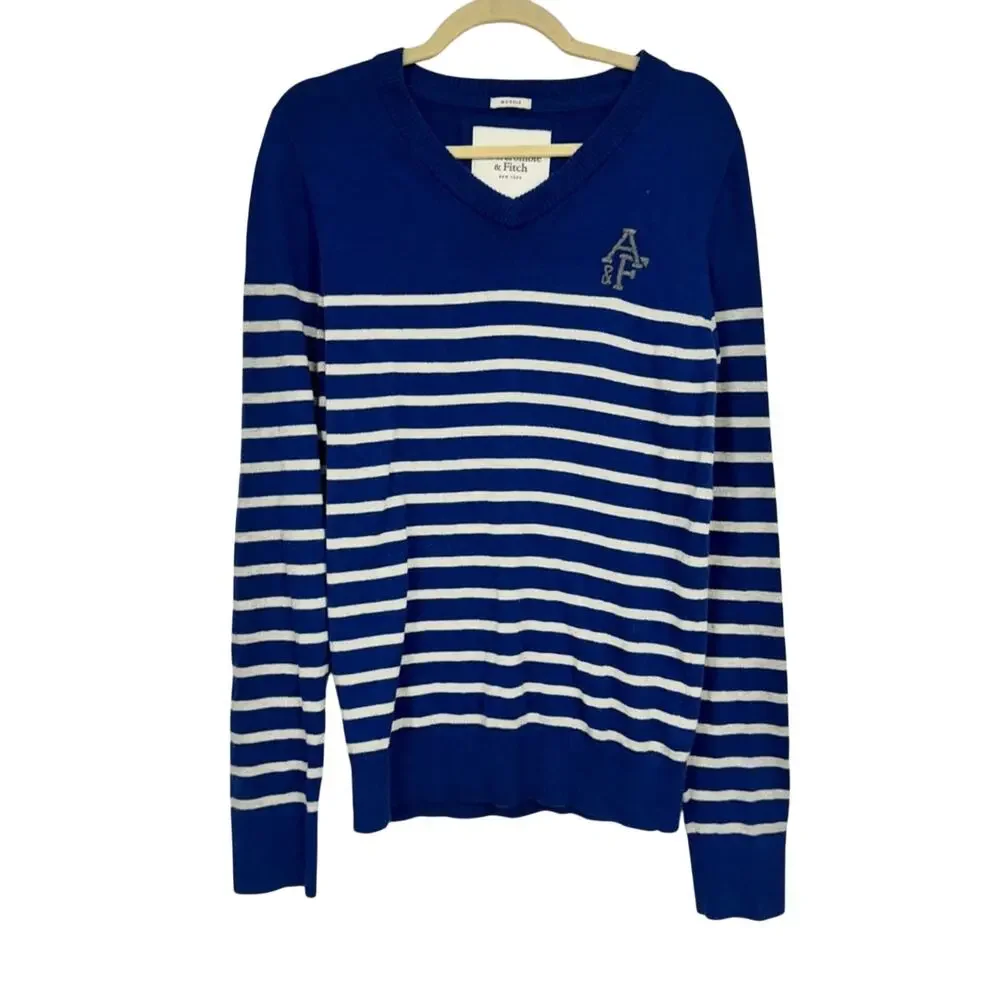Abercrombie & Fitch Blue Grey Striped V Neck Sweater Mens M Preppy Pullover